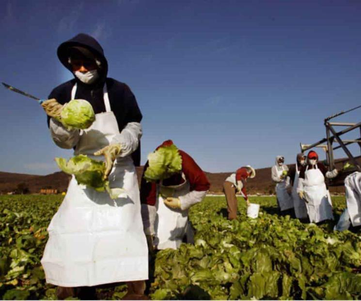 Pide México a EU cumplir con leyes en sector agrícola