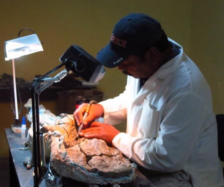 Identifican dinosaurio que vivió hace 73 millones de años