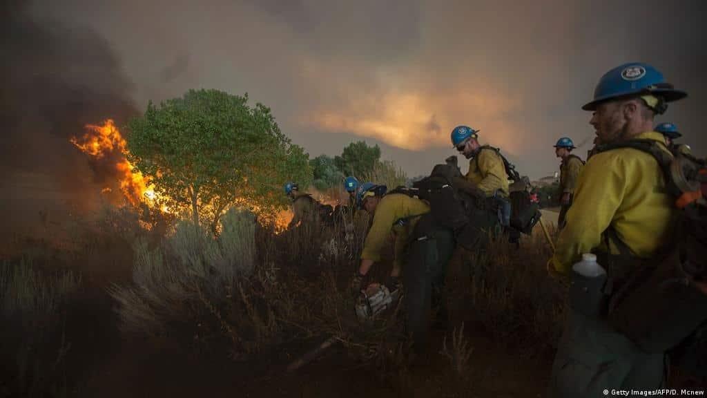 Incendio en California mató más de siete mil secuoyas
