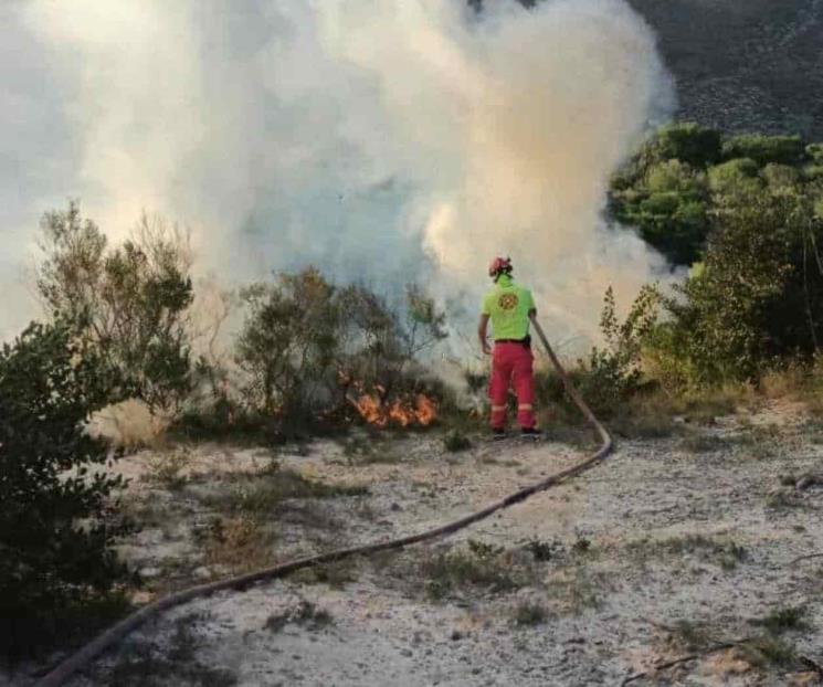 Controlan incendio forestal en sierra de Galeana