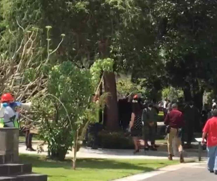 AMLO participa en Palacio Nacional en mega simulacro