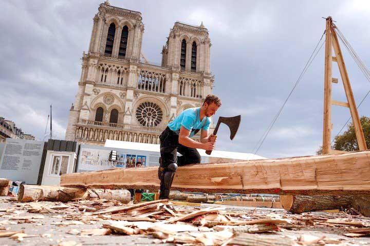 Cortan árboles para reconstruir Notre-Dame