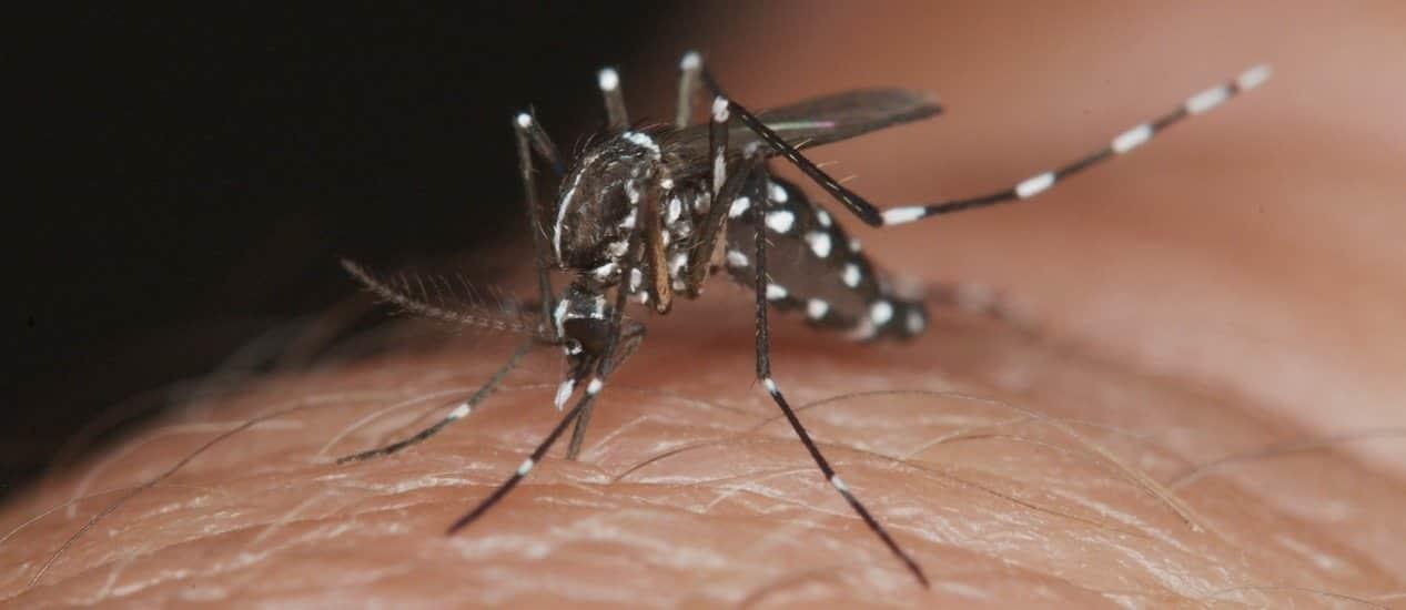 Pide Salud esfuerzo conjunto para combatir el dengue