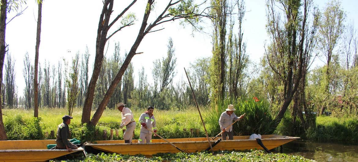 Biólogos ofrecen propuestas para restaurar Xochimilco