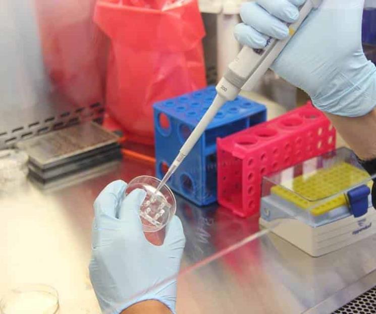 Detectan en EU primer caso de viruela de mono en 20 años