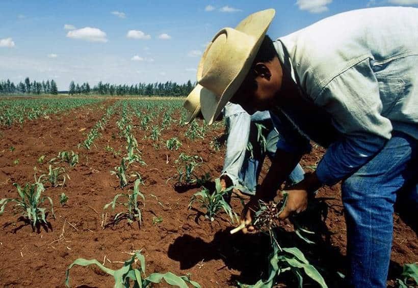 Monreal propone reforma a Ley Agraria