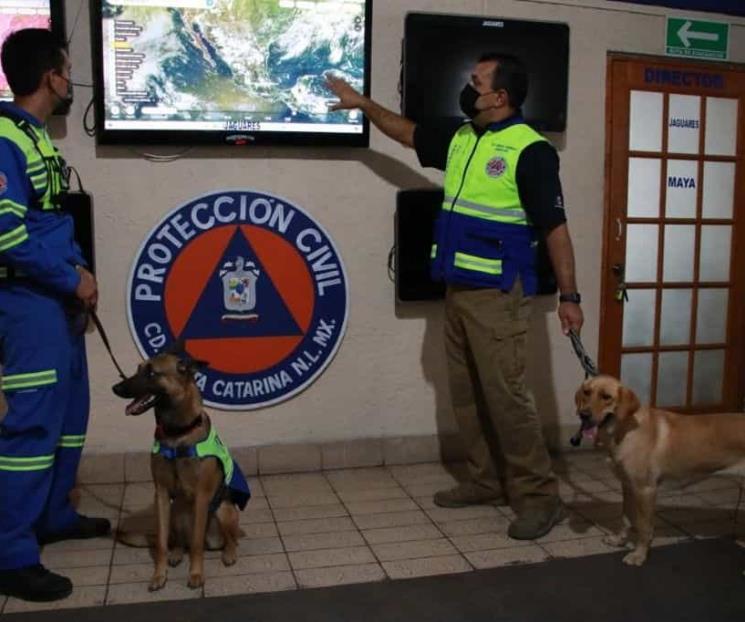 Enaltecen labor de elementos caninos en Santa Catarina