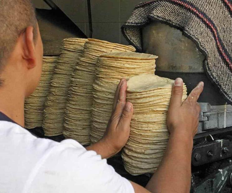 Precio de tortillas sube 13.5% en primera quincena de julio