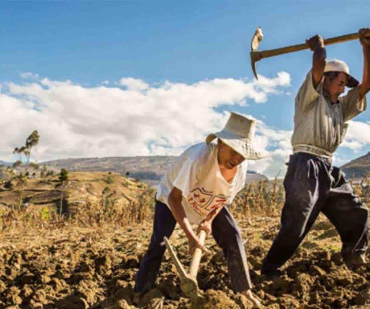 Tiene México tradición de sembradores