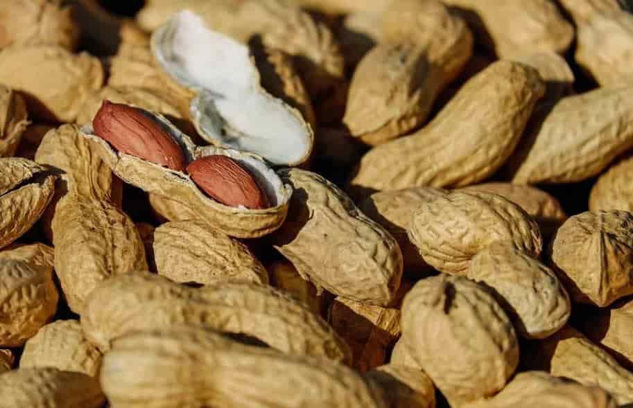 Diez datos curiosos sobre el cacahuate
