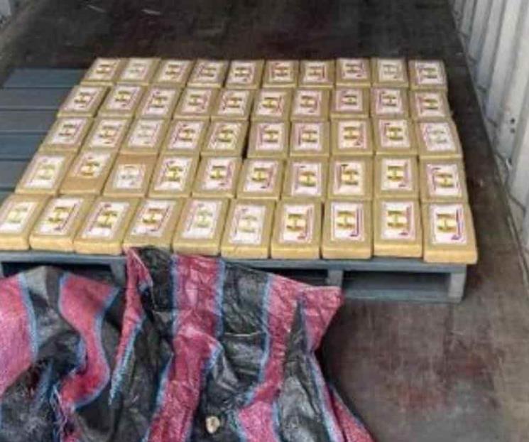 Decomisan casi 50 kilos de cocaína proveniente de Rusia