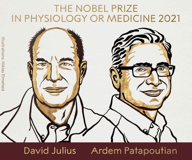 Ganan Nobel de Medicina por receptores de temperatura