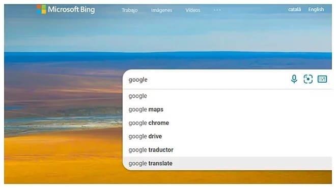 Google es el término más solicitado en Bing