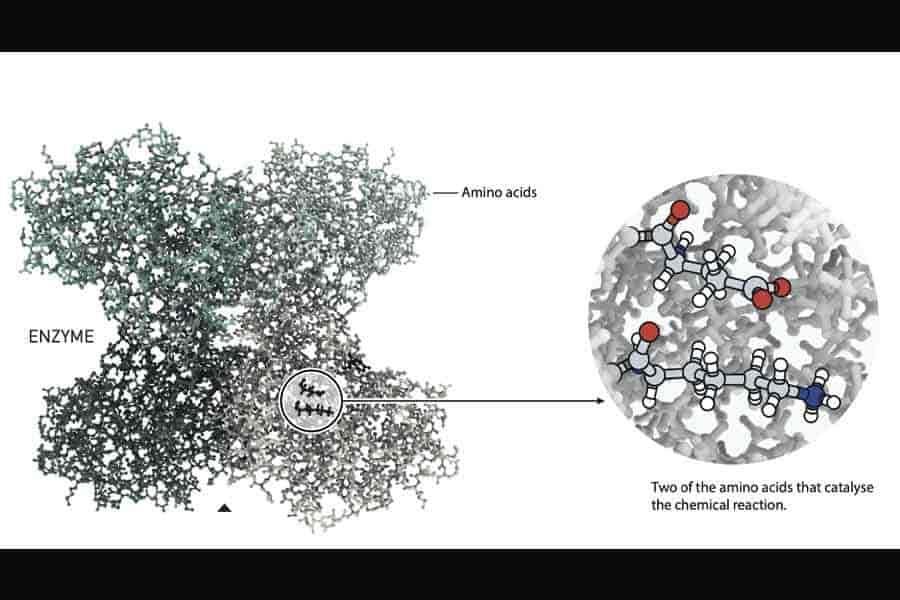 Por técnica para crear moléculas ganan Nobel de Química 2021