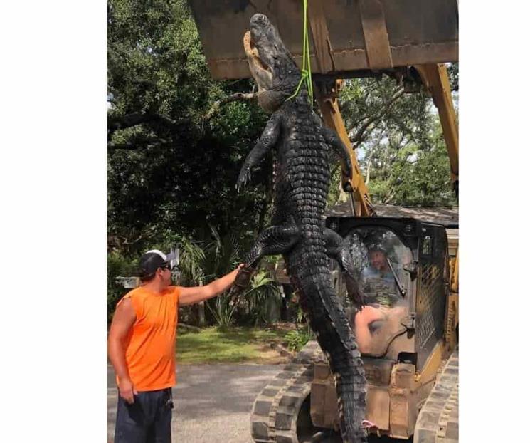Atrapan a Godzilla de Florida