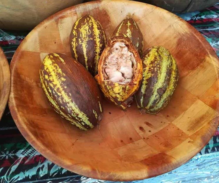 Visita el Festival del Cacao Mexicano