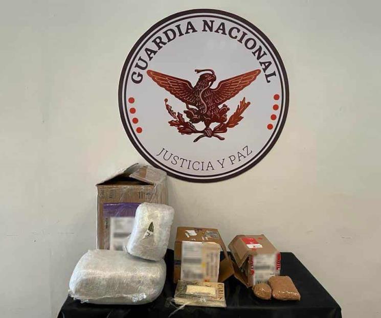 Decomisan droga en paquetería en Santa Catarina