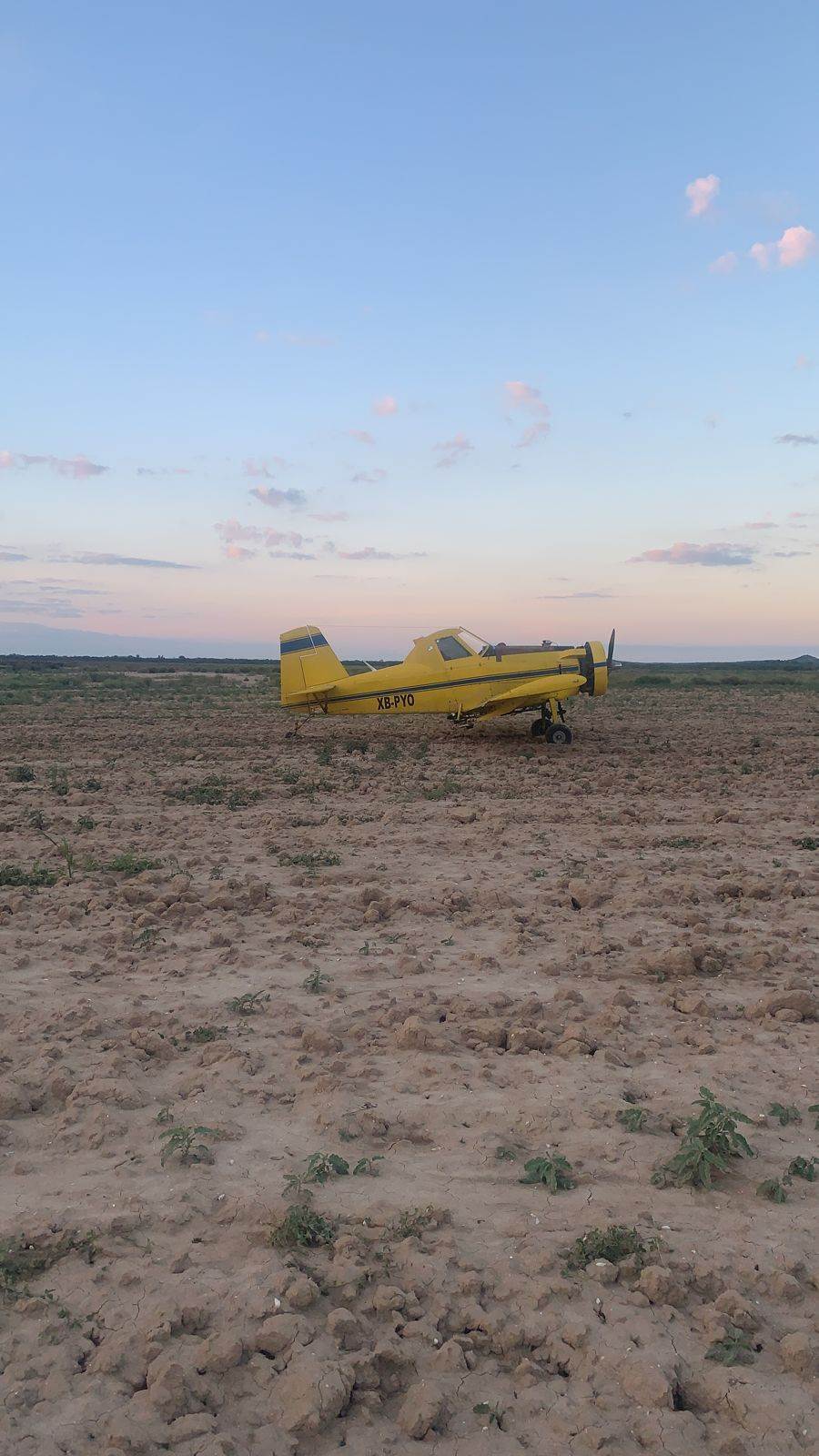 El piloto de una aeronave de fumigación realizó un aterrizaje forzoso al interior de un rancho, luego de que presuntamente tuvo una falle en el motor