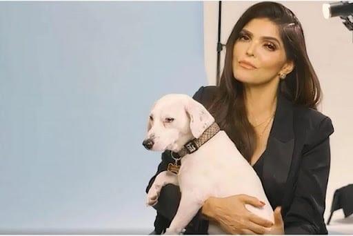 Ana Bárbara, una superheroína de los perros en PETA Latino