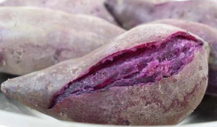 El camote morado ayuda a controlar la diabetes