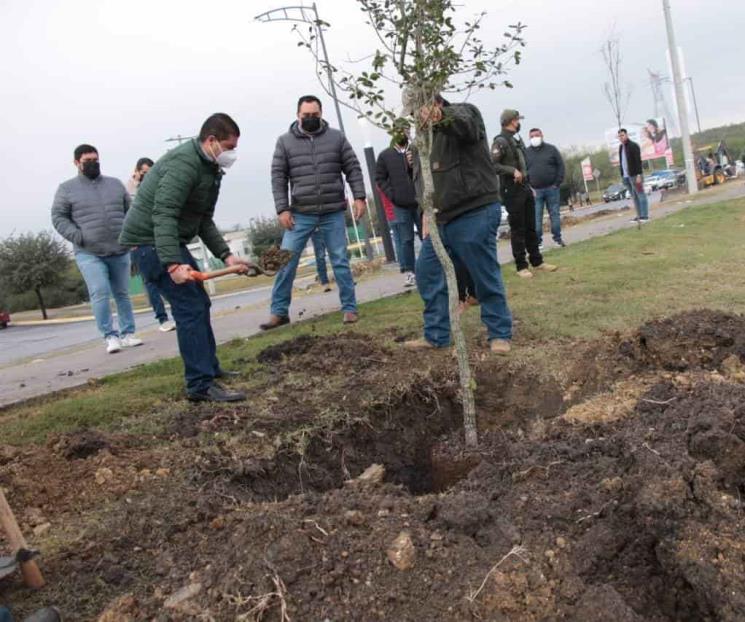 Planta Paco Treviño el primero de 350 árboles