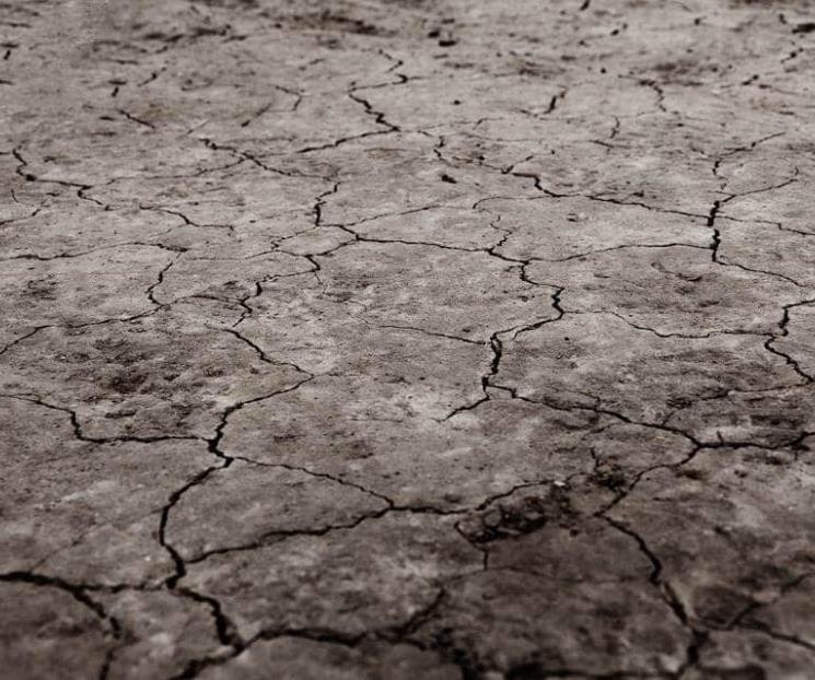 Investigadores de UNAM advierten sequía para inicios de 2022