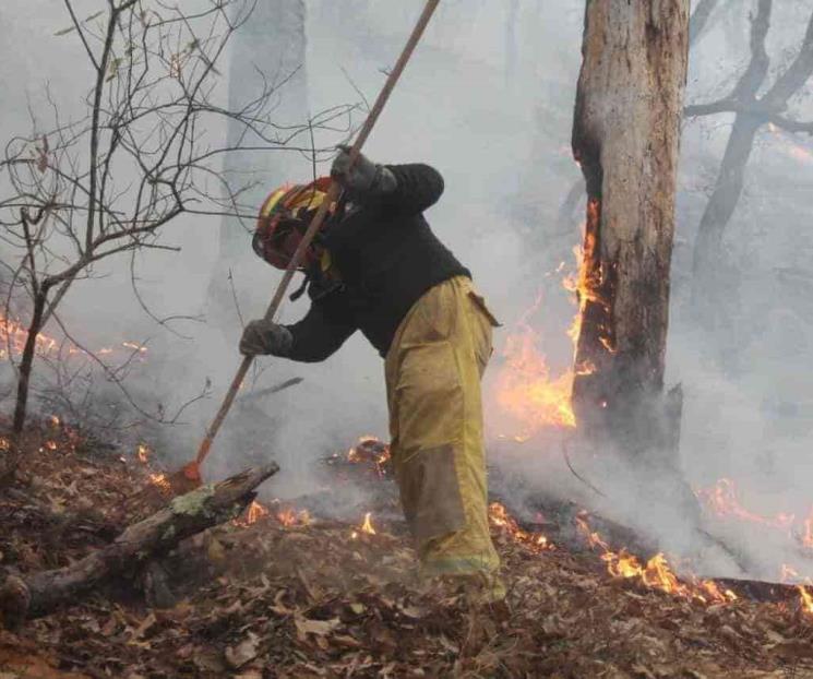 Combatirán los tres niveles de gobierno incendios forestales