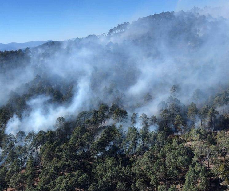 Alarma incendio forestal en Galeana