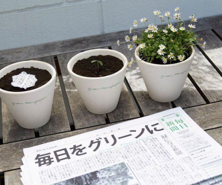 Mainichi, el periódico que germinaba en una planta