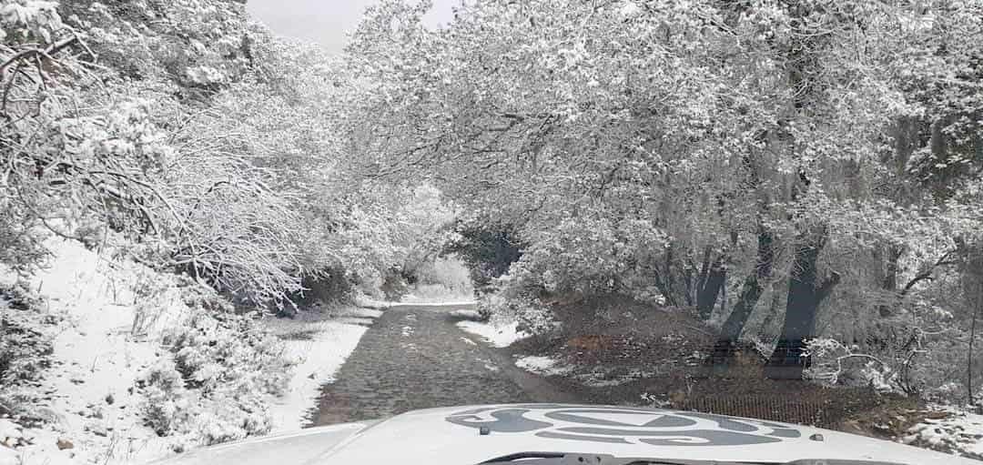 Se pintan de blanco cerros del sur de NL