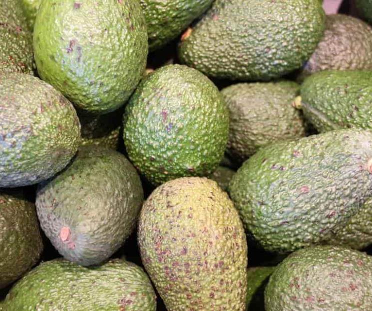 México exporta 135 mil toneladas de aguacate a EU