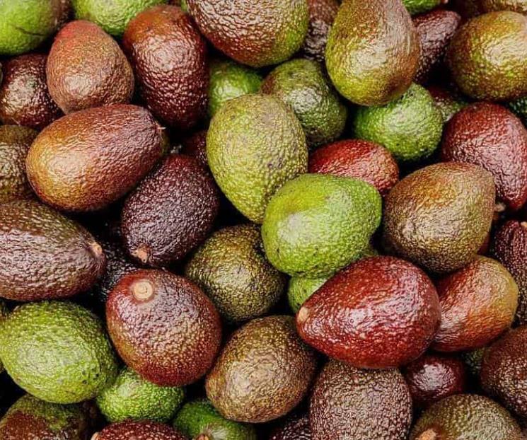 Aguacate mexicano, por octavo año al Super Bowl