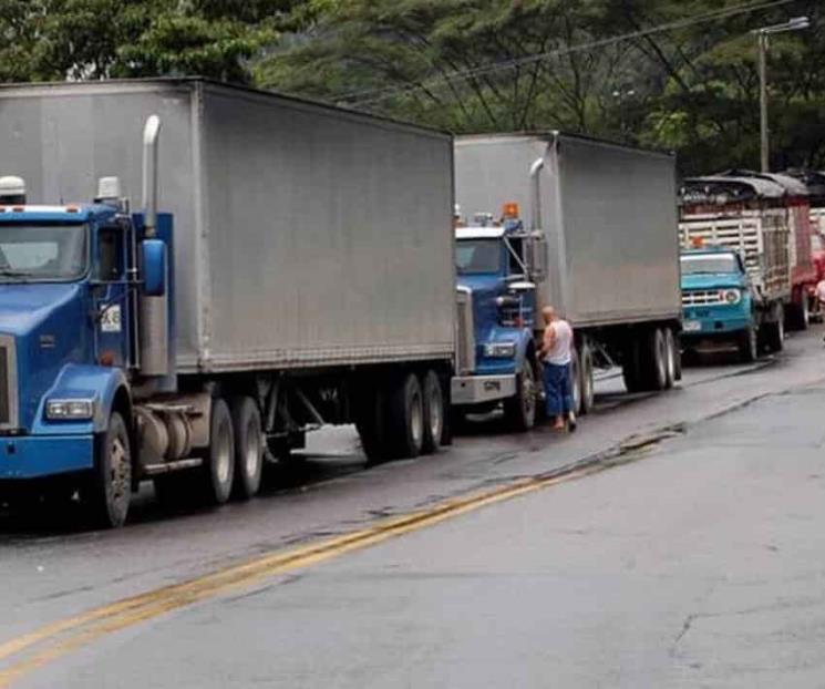 Transportistas, exentos de comprobar legalidad de mercancías