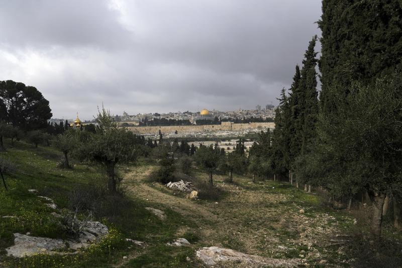 Israel suspende parque en Monte de los Olivos