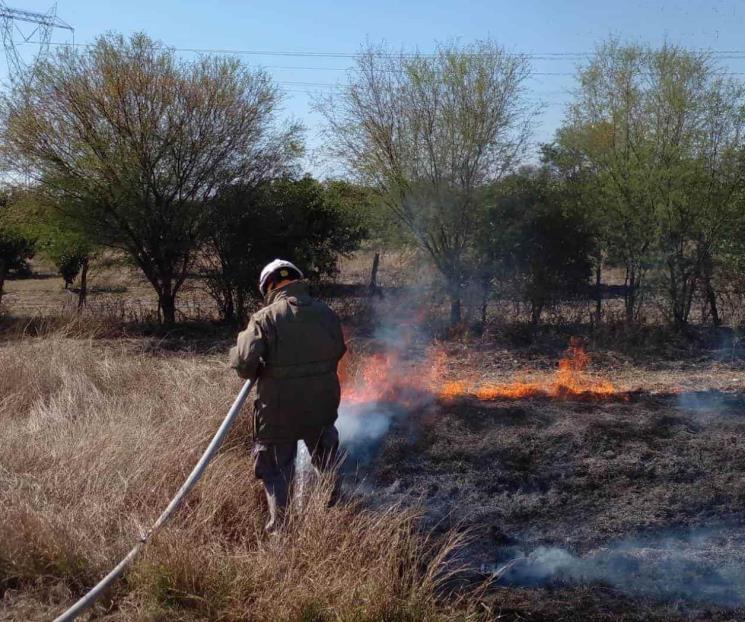 Se incendian predios en zona metropolitana