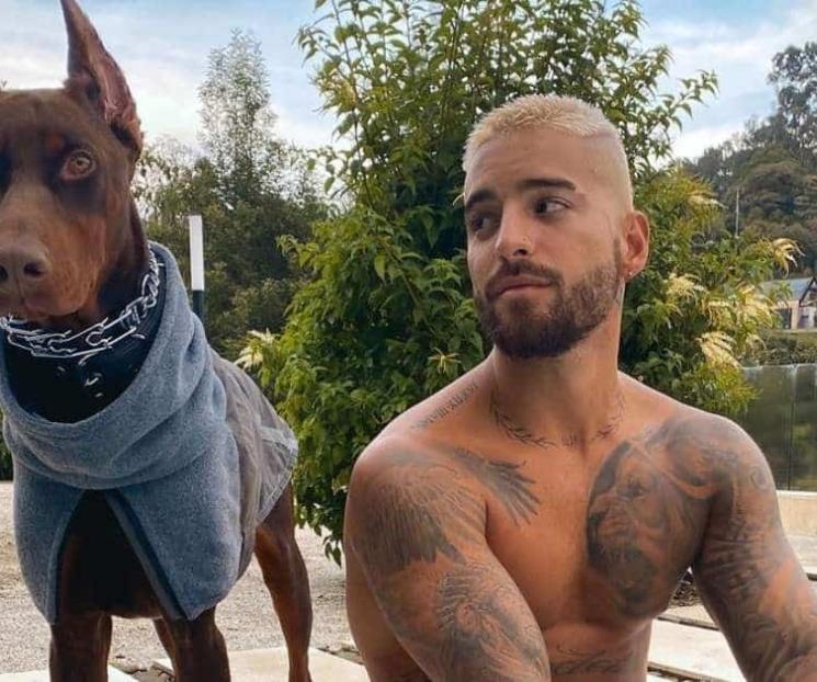 Maluma es atacado por su perro dóberman