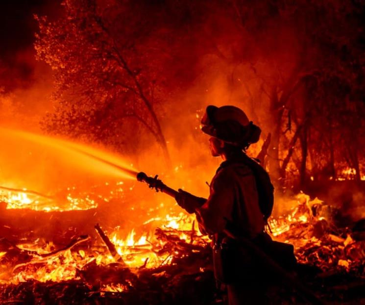 Incendios forestales se agravan en todo el mundo: ONU