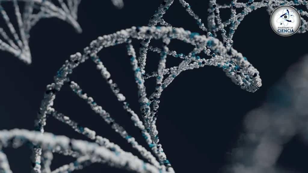 IA encuentra en genoma humano un antepasado “fantasma”