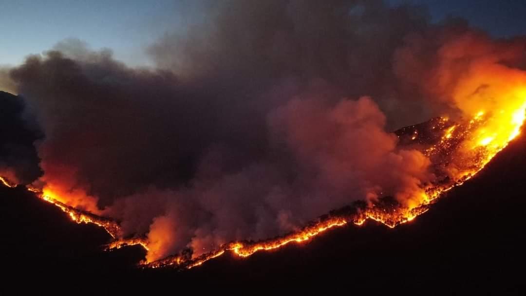 Controlan al 30% incendio en sierra de Santiago