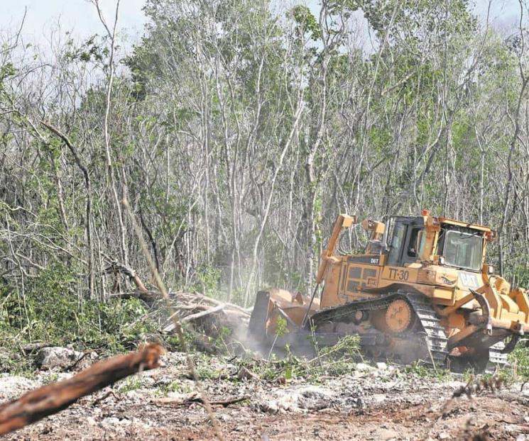 Denuncian ambientalistas amenazas en Quintana Roo