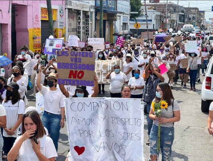 Van 31 mujeres asesinadas en Morelos este año