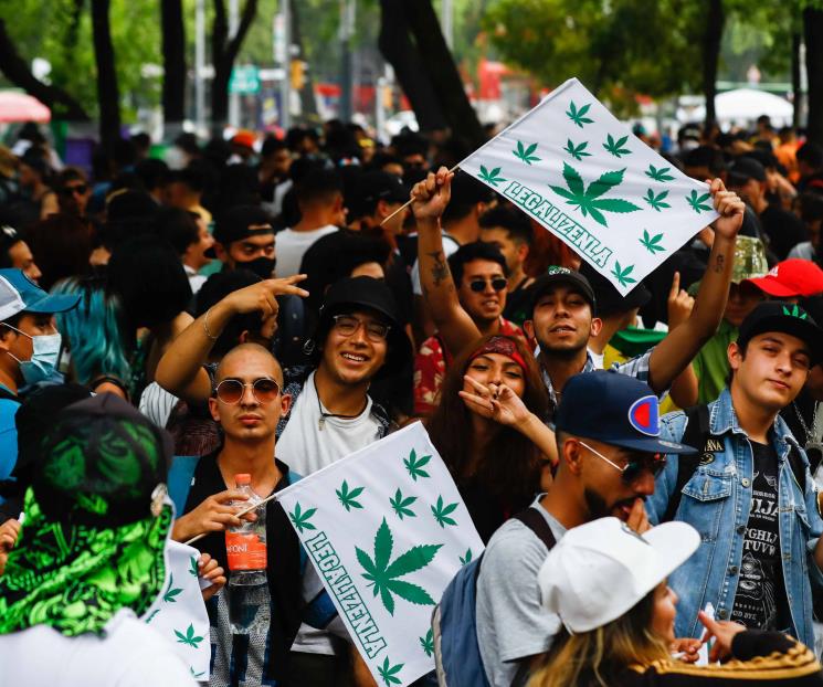 Reconocen urgencia de legislar el uso de la marihuana