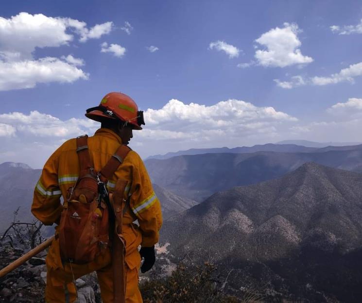 Controlan incendio forestal en los límites de NL y Coahuila