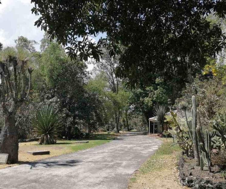 Qué días abre el Jardín Botánico de CU de la UNAM
