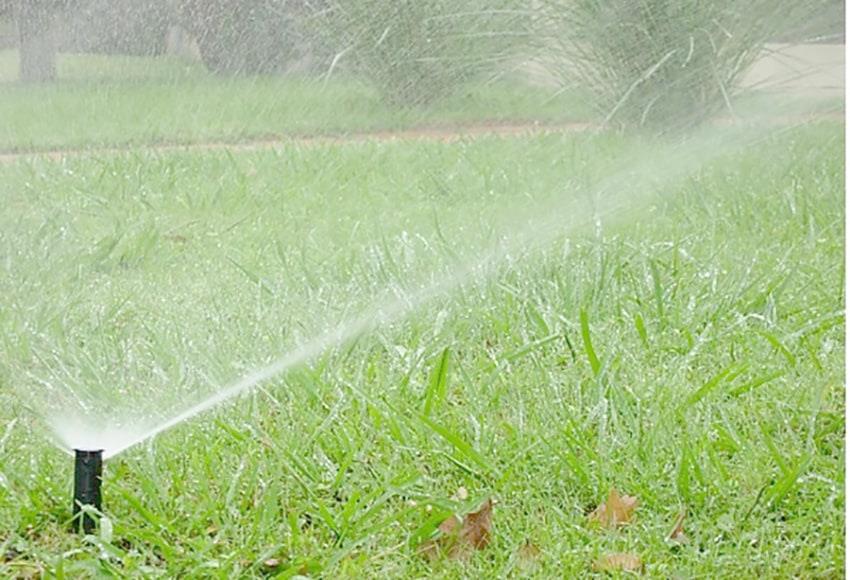 Prohíbe NL uso de agua potable para jardines y automóviles