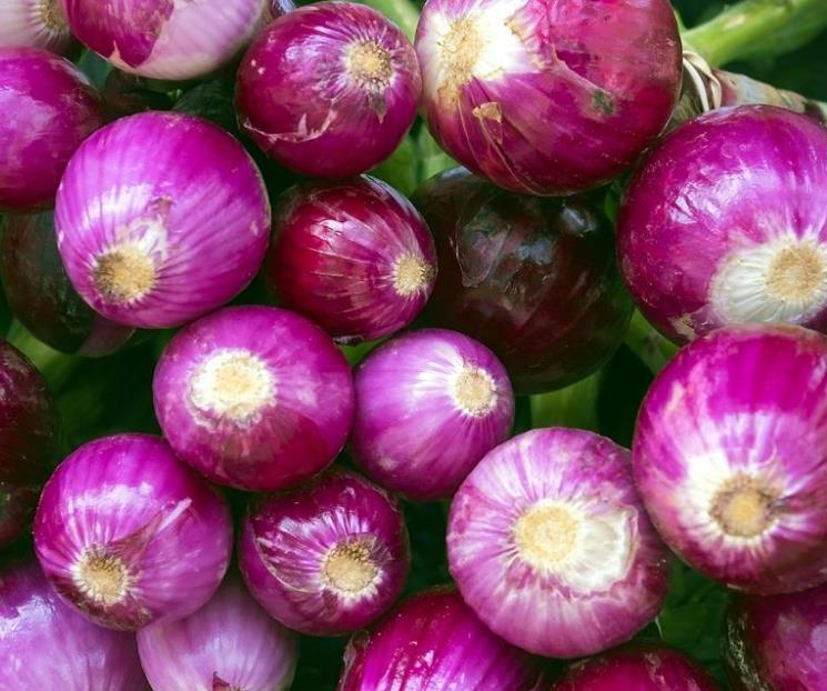 Beneficios de consumir cebolla morada