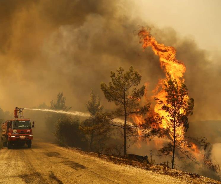 Ola de calor, sequías, agravan riesgo de incendios en Europa
