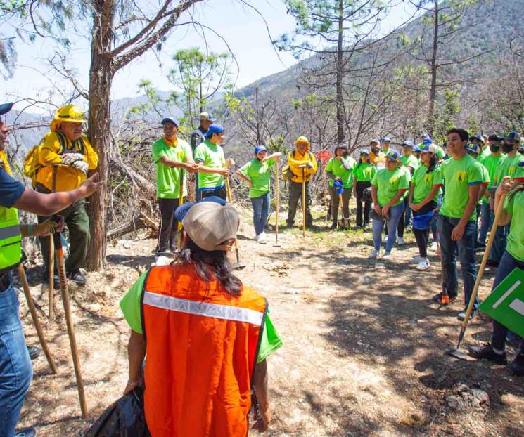 Trabajan unidos en la reforestación del Bosque Escuela UANL
