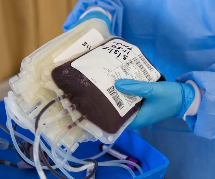 Hallan hasta 120 bancos de sangre sin licencia