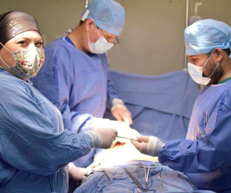 Suman en el IMSS 234 trasplantes en seis meses